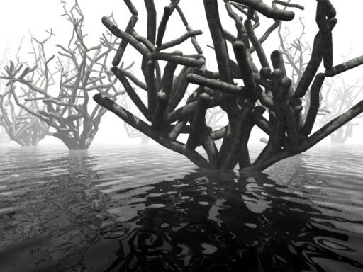 Apparent Sensory Perception